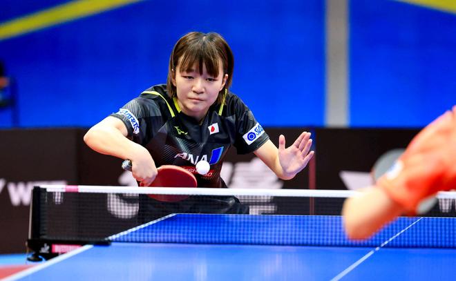 新华社提出 新华社提出