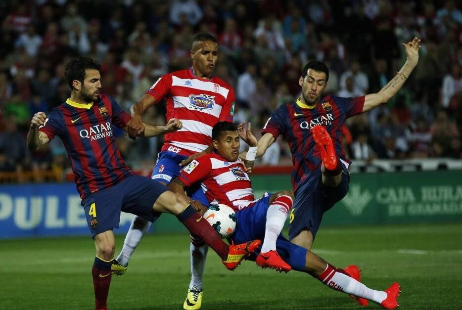 她每天制定 她每天制定