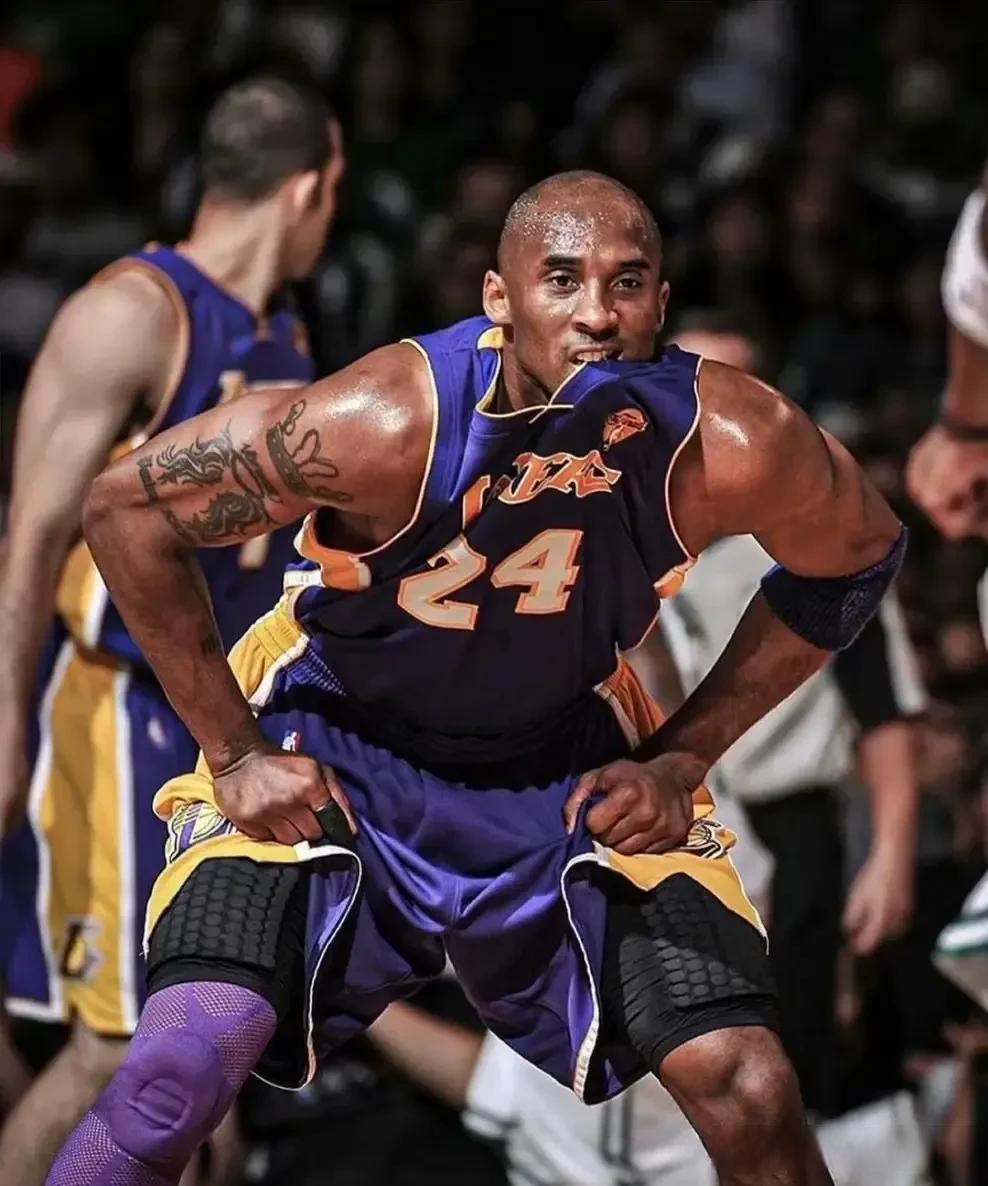 关注是承诺 关注是承诺