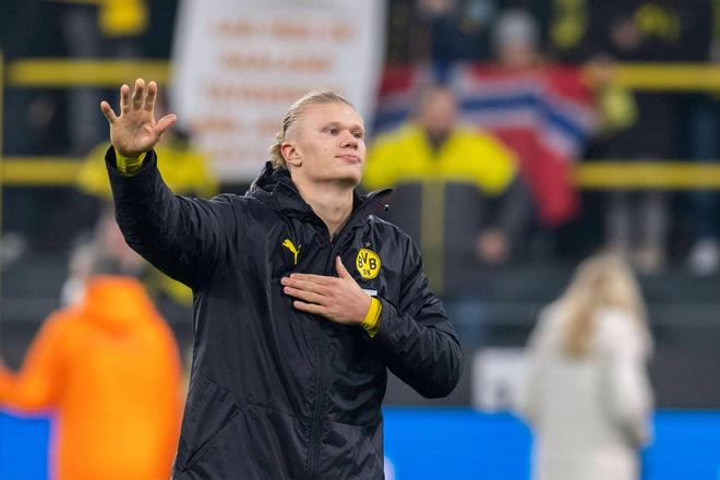 强阵容的极 强阵容的极